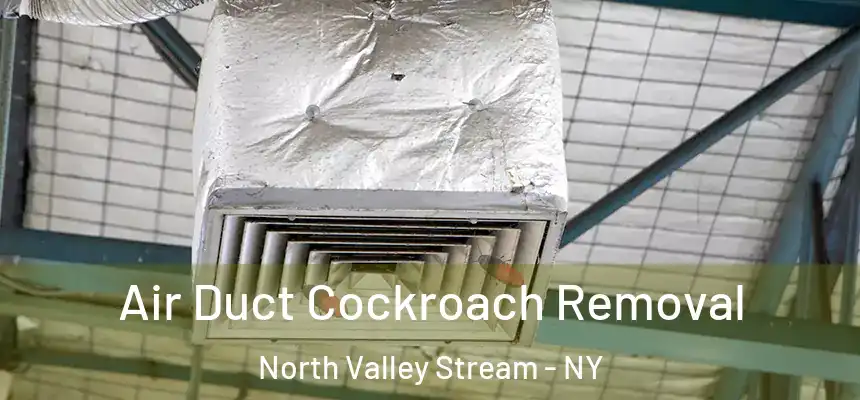  Air Duct Cockroach Removal North Valley Stream - NY