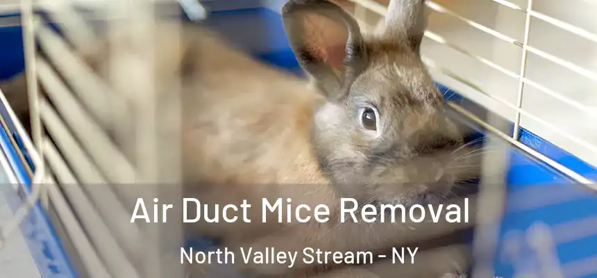  Air Duct Mice Removal North Valley Stream - NY