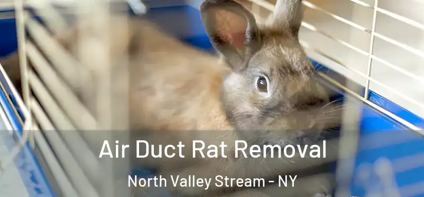  Air Duct Rat Removal North Valley Stream - NY