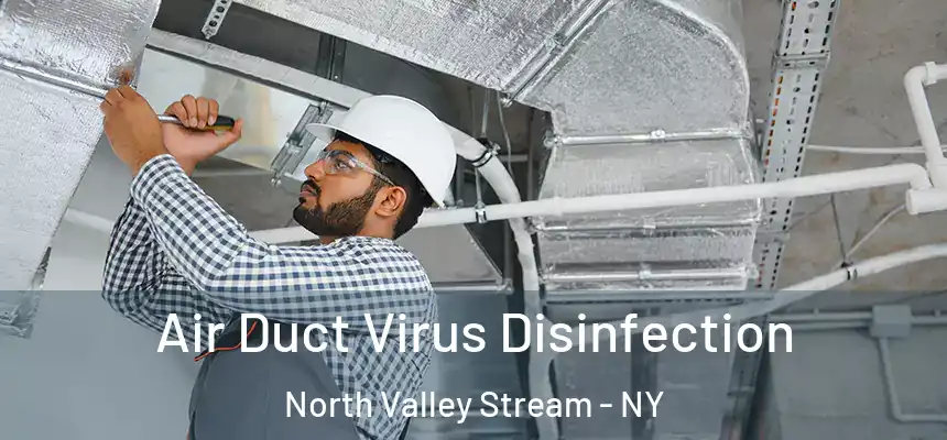  Air Duct Virus Disinfection North Valley Stream - NY