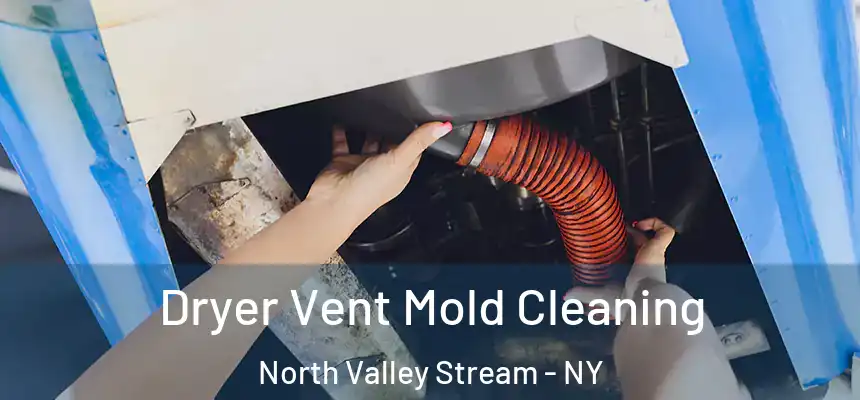 Dryer Vent Mold Cleaning North Valley Stream - NY