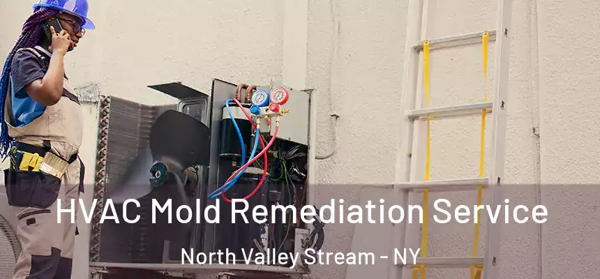  HVAC Mold Remediation Service North Valley Stream - NY
