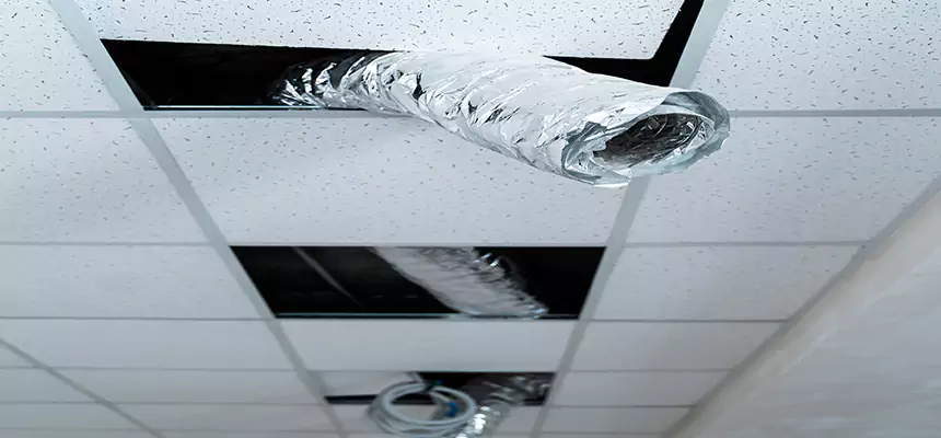 Our Air Duct Pet Hair Removal Services in North Valley Stream, NY