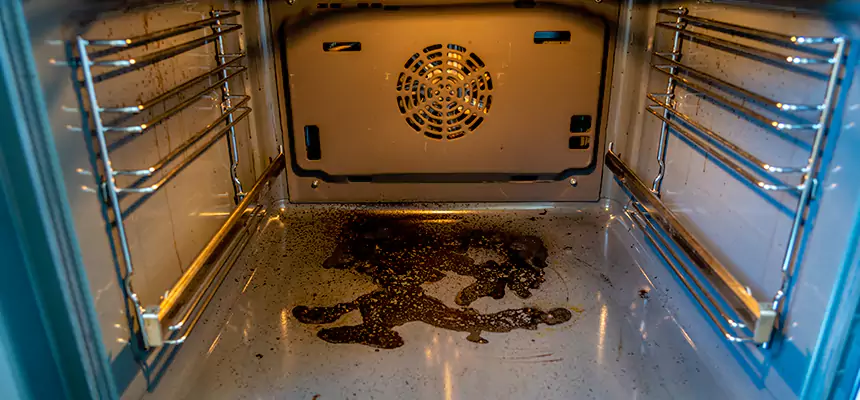 Our Dryer Vent Mold Cleaning Services in North Valley Stream, NY