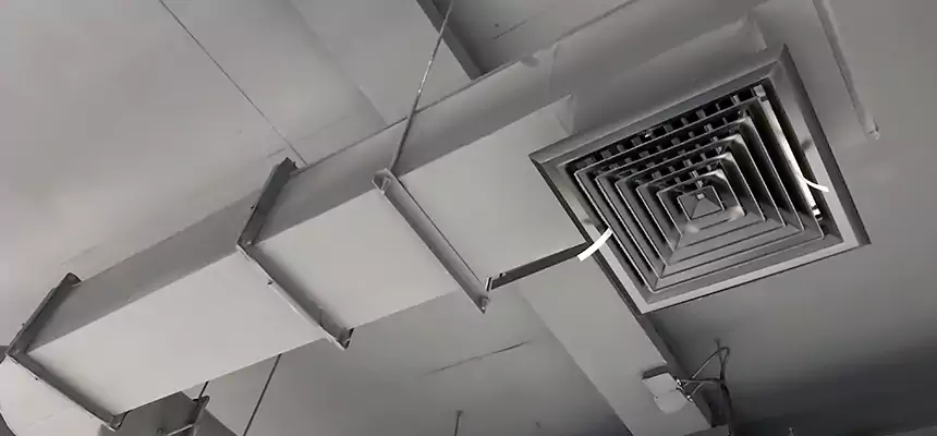 Our Pest Removal From Ducts Services in North Valley Stream, NY