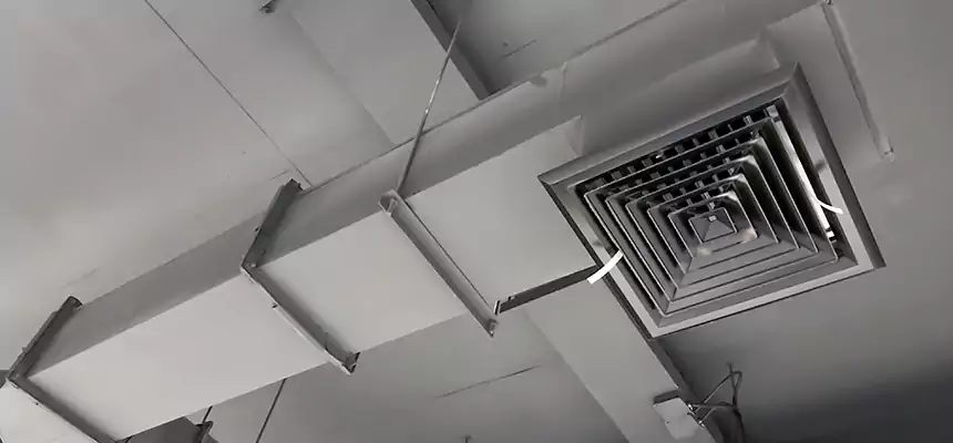 Our Rodent Droppings In Vents Services in North Valley Stream, NY