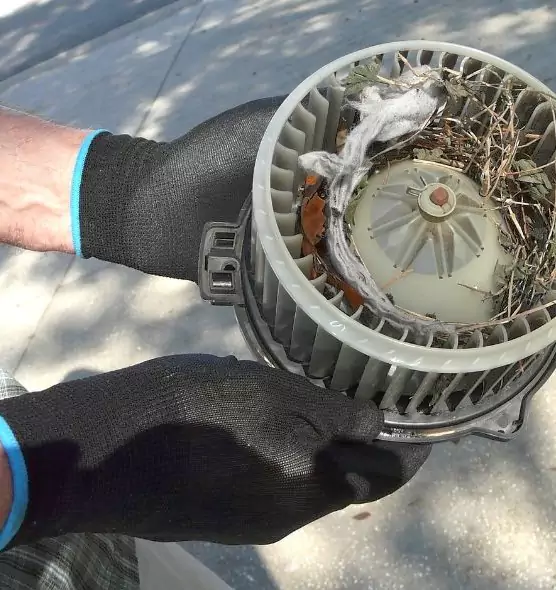 About Air Duct Mice Removal in North Valley Stream, NY