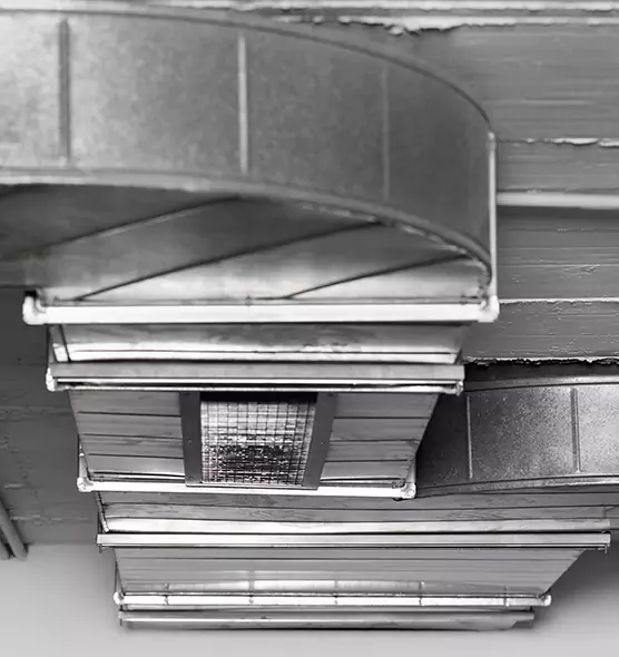 Professional Air Duct Pest Removal in North Valley Stream, NY