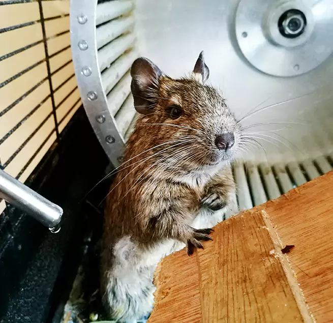 Why Homeowners & Businesses Trust Us North Valley Stream, NY